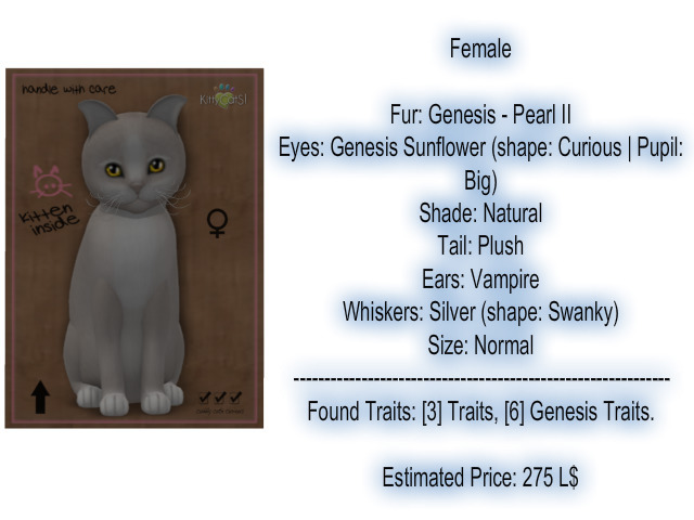 KittyCatS Box - New Born Kitten 15