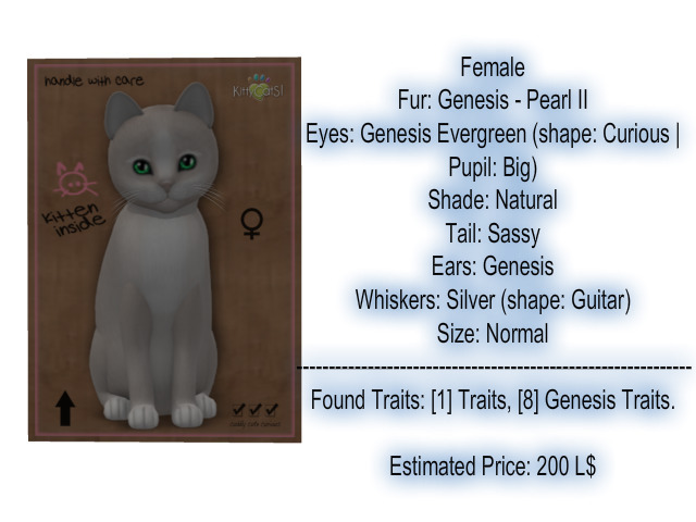 KittyCatS Box - New Born Kitten 20