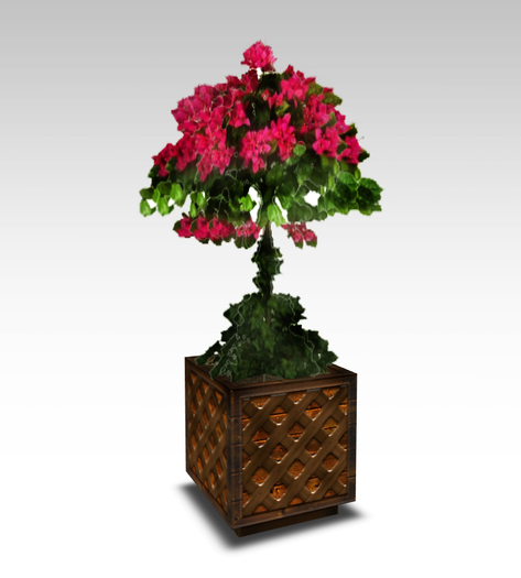 Exterior Plants Flowers Bougainvillea Copy/Modify & Modify/Transfer EVLAND