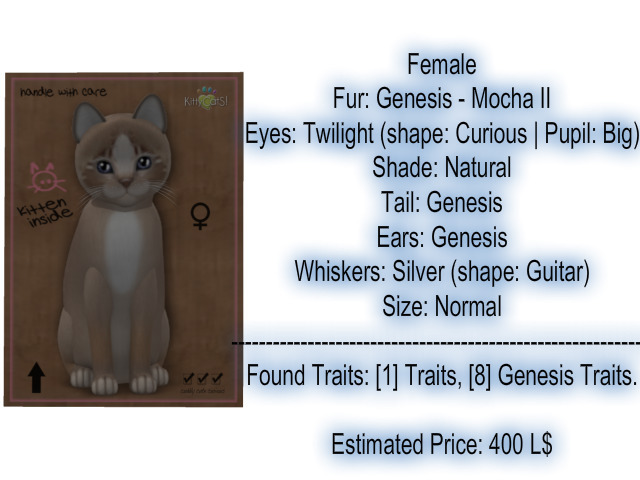 KittyCatS Box - New Born Kitten 7
