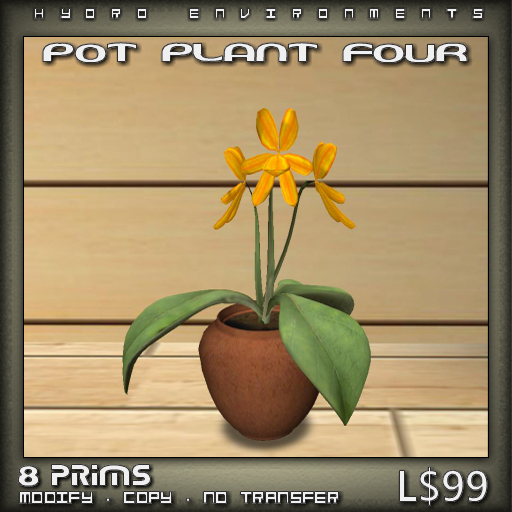 Plant
