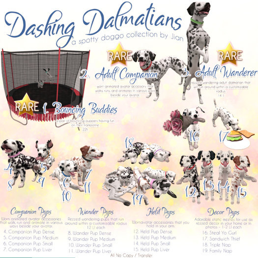 JIAN Dashing Dalmatians 15. Held Pup Liver BOX