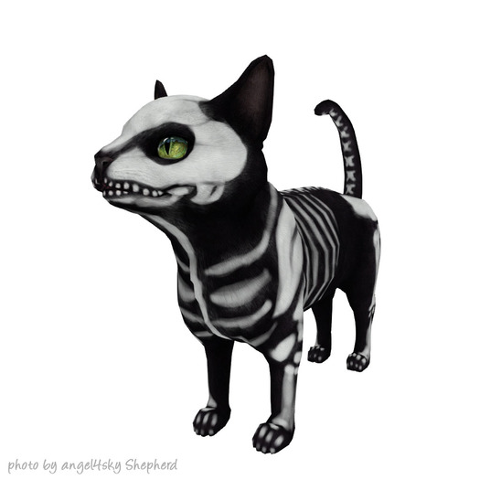 JIAN Feline Frights EP 15. Skeleton Wanderer BOX