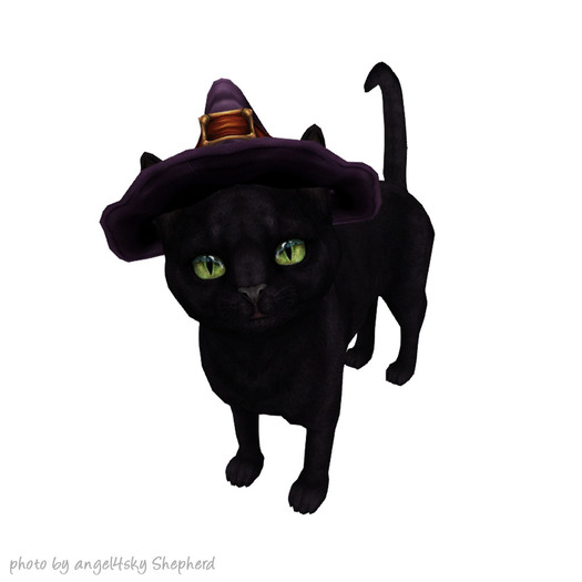 JIAN Feline Frights EP 16. Witch Wanderer BOX