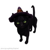 JIAN Feline Frights EP 10. Witch Companion BOX