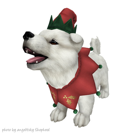 JIAN Santa's Samoyeds 13. Elf Wanderer BOX