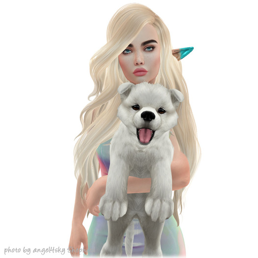 JIAN Santa's Samoyeds 16. White Held BOX