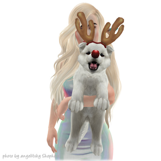 JIAN Santa's Samoyeds 17. Reindeer Held BOX