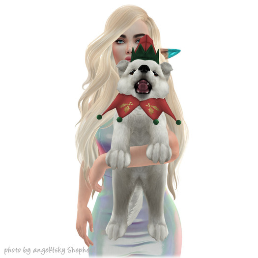 JIAN Santa's Samoyeds 18. Elf Held BOX