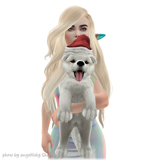 JIAN Santa's Samoyeds 19. Santa Held BOX