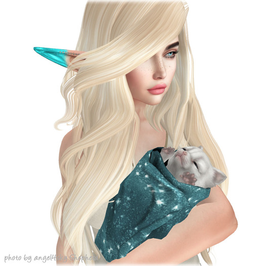 JIAN Portable Purritos 8. White Purrito BOX