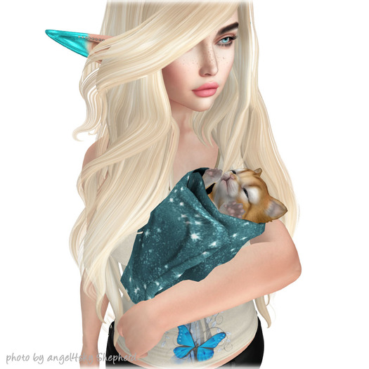 JIAN Portable Purritos 5. Orange Purrito BOX