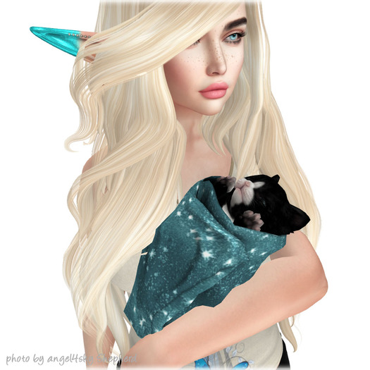 JIAN Portable Purritos 3. Tuxedo Purrito BOX