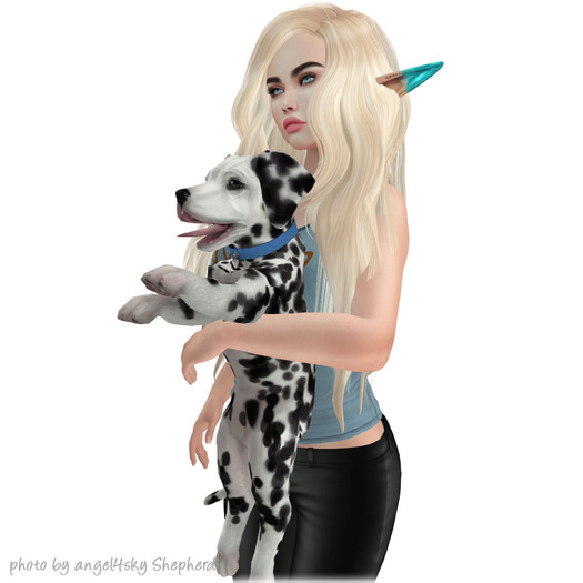 JIAN Dashing Dalmatians 12. Held Pup Dense BOX