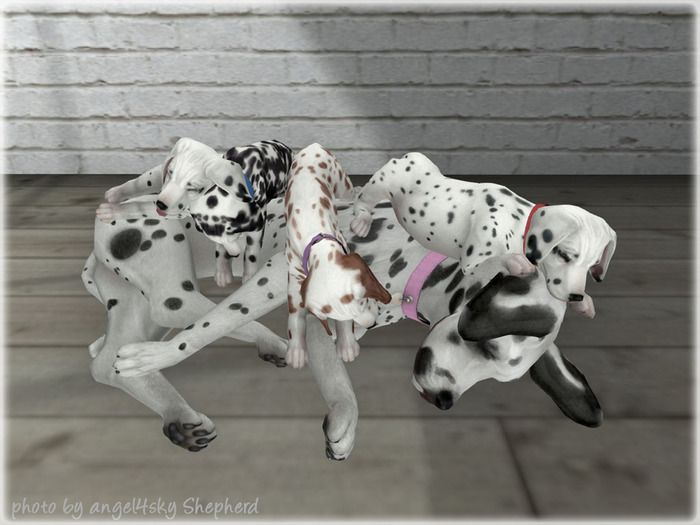 JIAN Dashing Dalmatians 19. Family Nap BOX