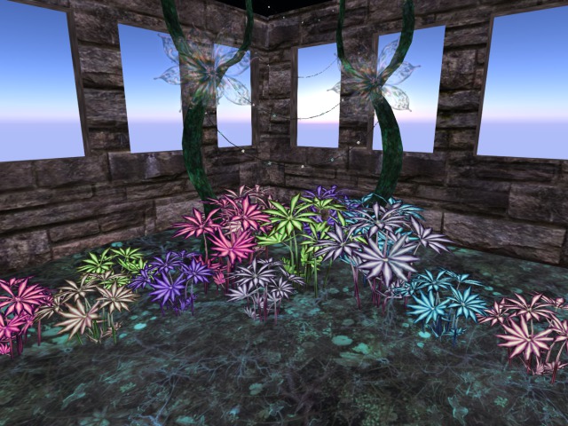!_!ND Nightworth Smooth  Inflorescence Plant Pack A