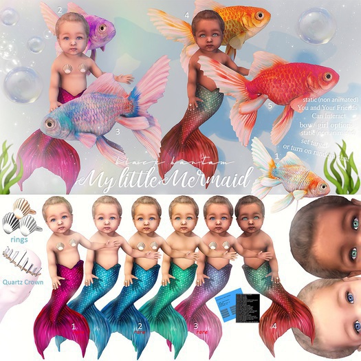 *[BB] The Friendly Fish Ride 02