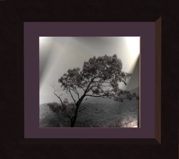 Leaning Tree