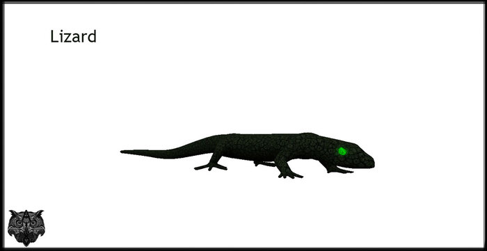Lizard