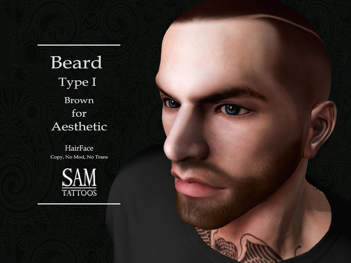[SAM TATTOOS] HAIRFACE BEARD AESTHETIC TYPE I BROWN