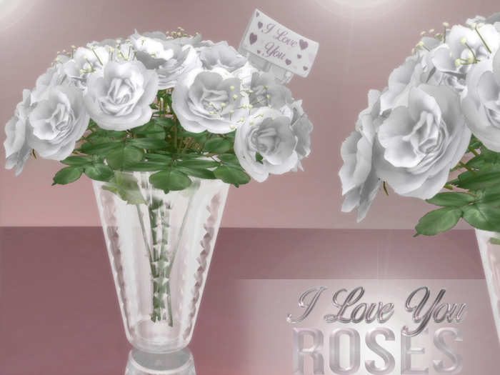 I Love You White Roses