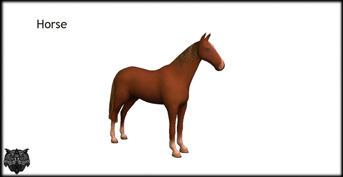 Horse