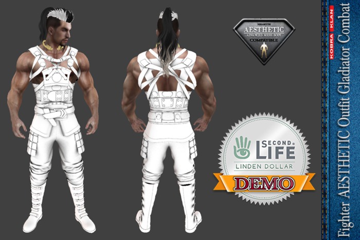 Fighter AESTHETIC Outfit Gladiator Combat DEMO