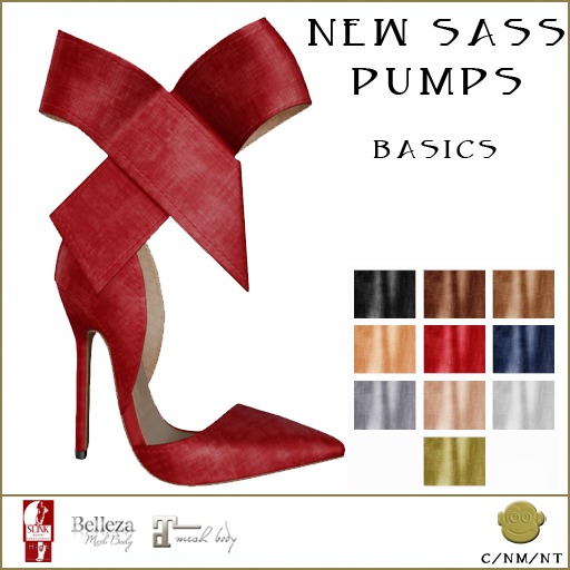 BM New Sass Pumps Basics