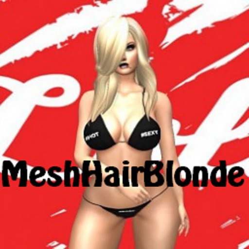 MeshHairBlonde
