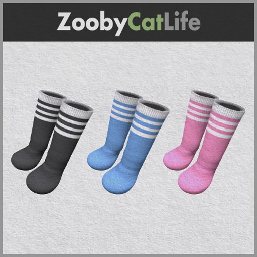 Zooby Cat Life Thin Stripe Long Socks BOXED