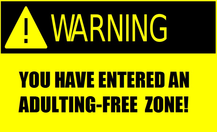 Funny Sign Adulting Free Zone