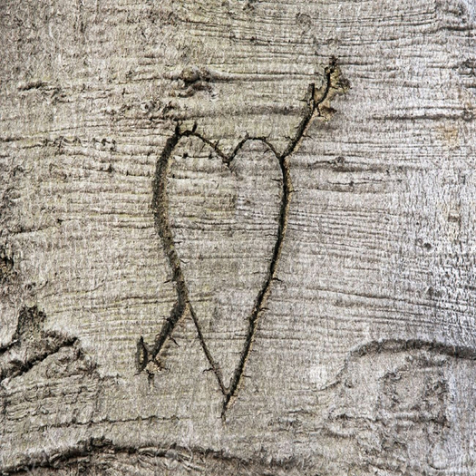 ::SG:: Carved wood III texture