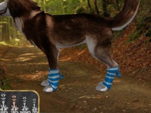 TWI Wolf  %140 size Leg Warmers
