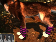 PW - TWI Wolf %140 size Leg Warmers pink