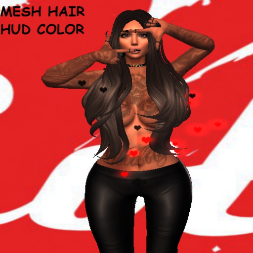 Mesh Hair + HUD COLOR