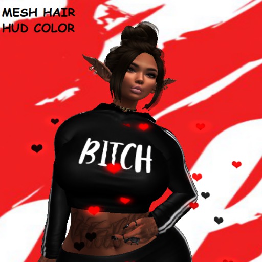 Yvone Updo Hair+HUD COLOR