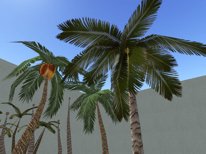 Palms Trees Building Pack - FULL PERM