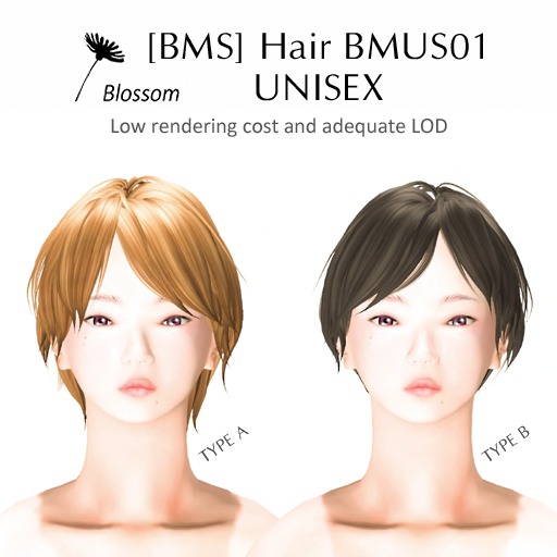 [BMS] Hair BMUS01 UNISEX ColorType 2 // BOX