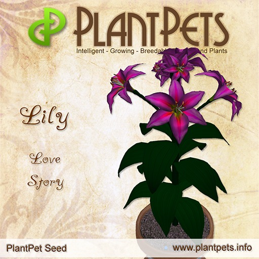PlantPet Seed [Lily *Love Story*]  RARE