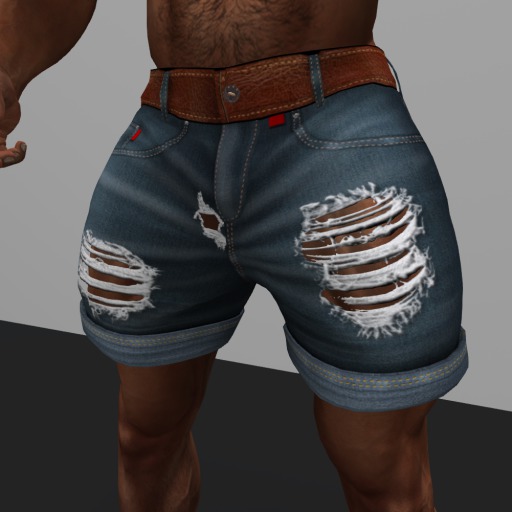 Giddy's Favorite Ripped Shorts (BOXED)