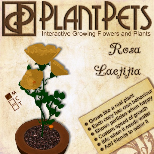 PlantPet Seed [Rosa *Laetitia*]  RARE