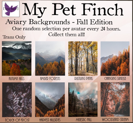 [ free bird ] My Pet Finch Aviary Back - Ocean Sunset