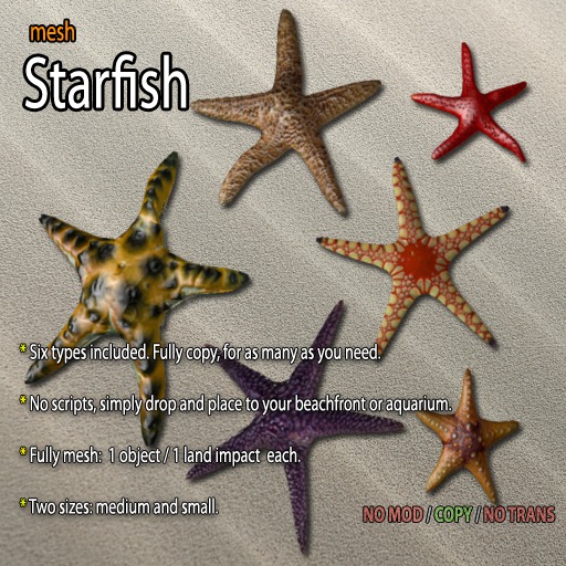 Mesh Starfish Pack 1