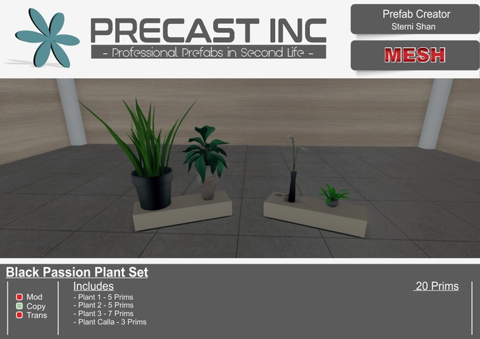 Black Passion - Plant Set 