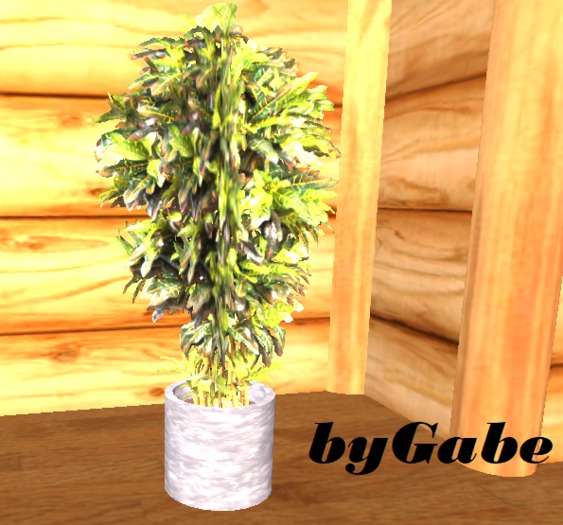  Flower & Pot  