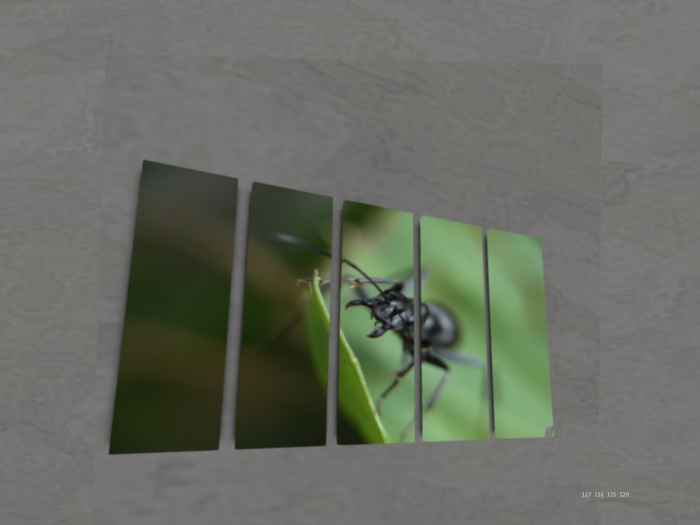 NN Designs  A ant's life (Broken Canvas / Boxed)