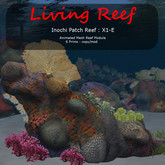 Inochi Reef - Patch Reef X1-E - Boxed