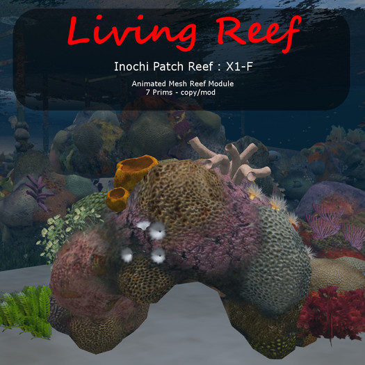 Inochi Reef - Patch Reef X1-F - Boxed