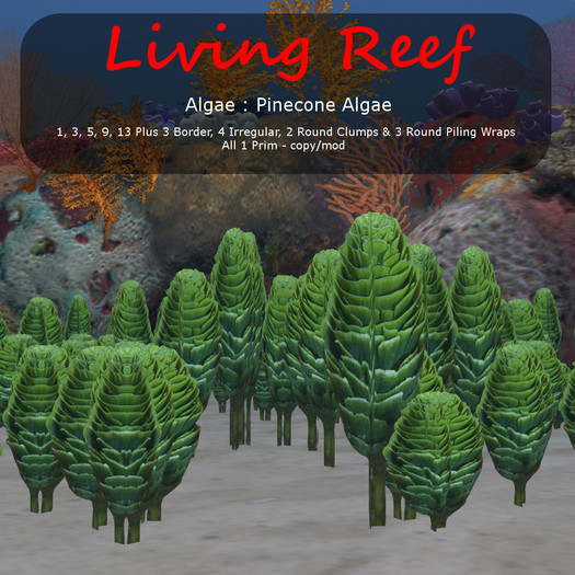 Inochi Reef : Algae "Pinecone Algae"