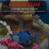 Inochi Reef : Mesh Fish - 